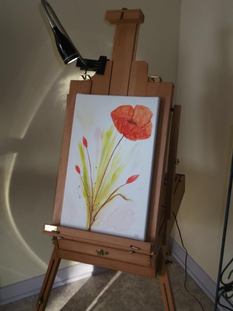 Coquelicot en fleur