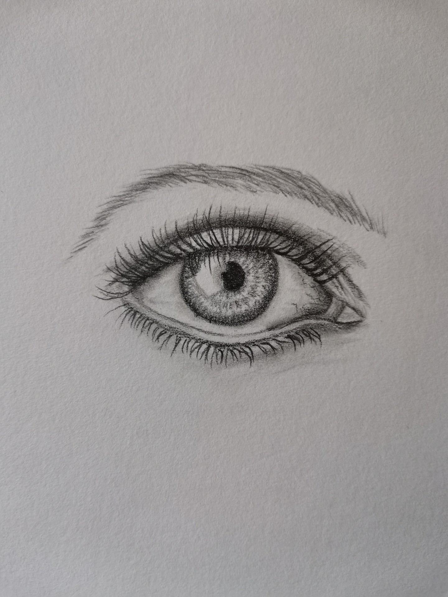 Oeil
