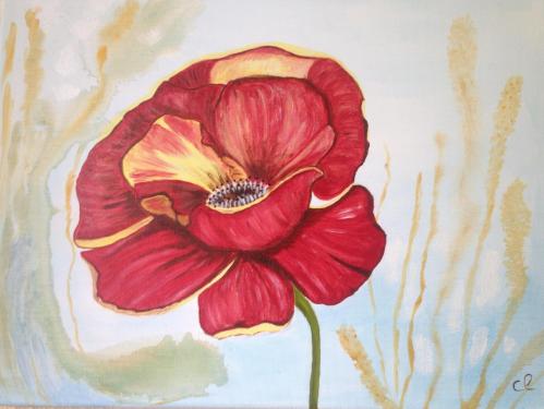 Joli Coquelicot