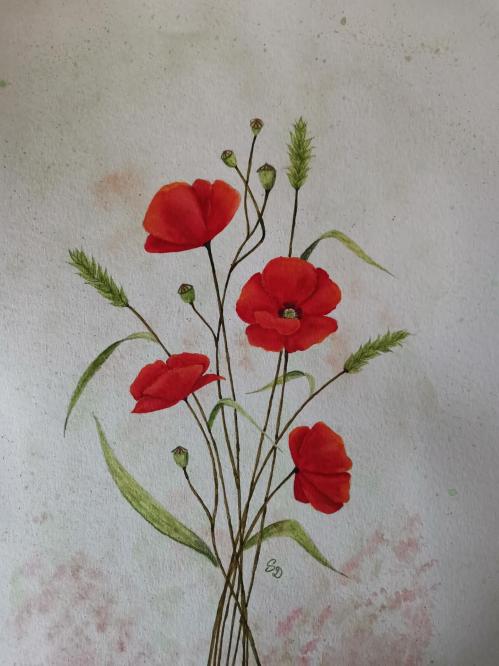 Tableau coquelicots rouges peinture aquarelle artiste peintre